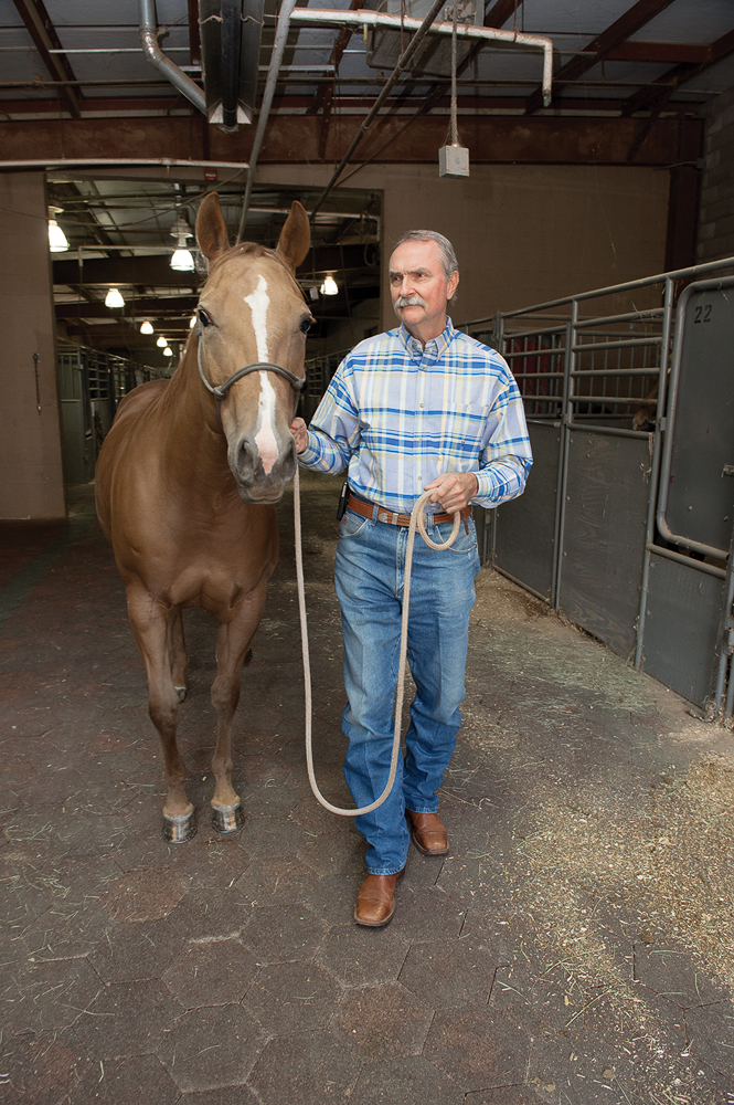 Dave Whitaker - MTSU's horse science program - Miller Coliseum